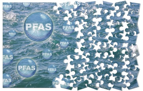 PFAS Analytical Testing Services