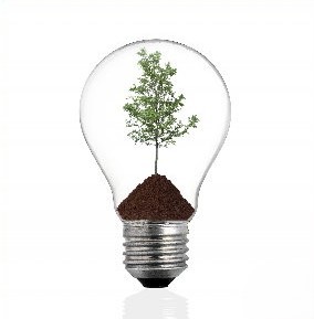Earth friendly light bulb